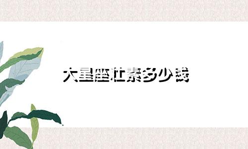 大星座壮素多少钱