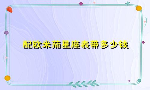 配欧米茄星座表带多少钱