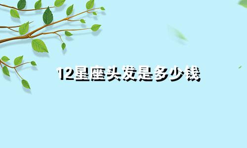 12星座头发是多少钱