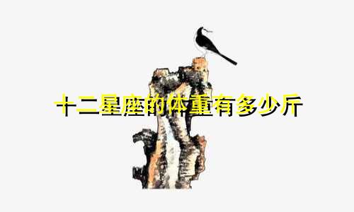 十二星座的体重有多少斤
