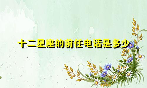 十二星座的前任电话是多少