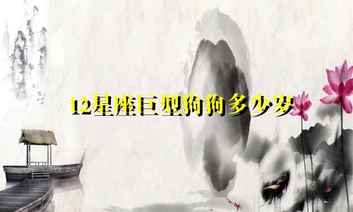 12星座巨型狗狗多少岁