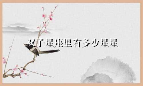 双子星座里有多少星星