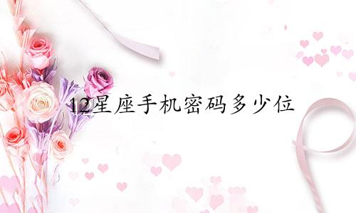 12星座手机密码多少位