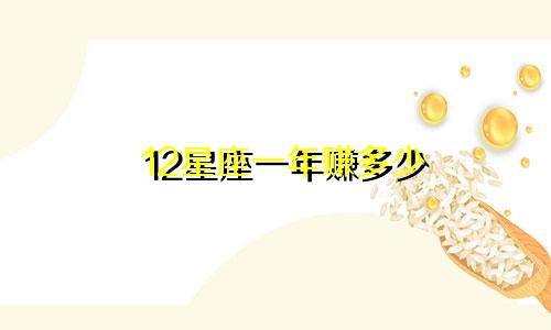 12星座一年赚多少