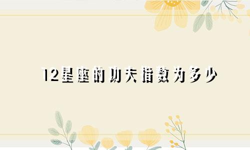 12星座的功夫指数为多少