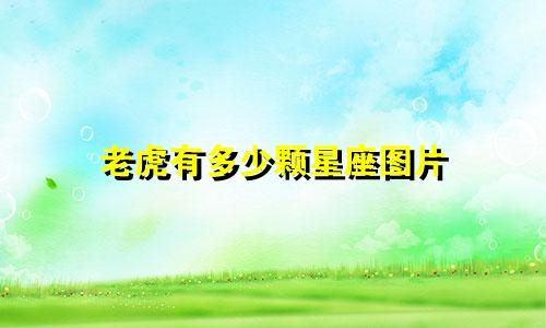 老虎有多少颗星座图片