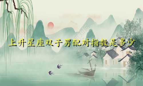 上升星座双子男配对指数是多少
