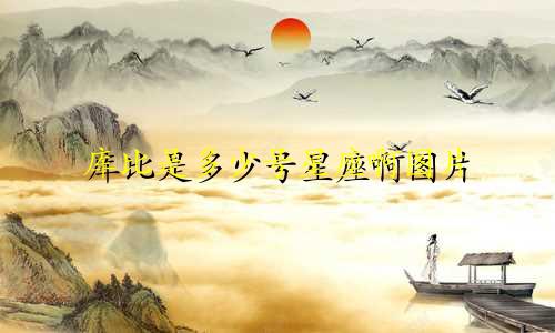 库比是多少号星座啊图片