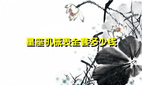 星座机械表全套多少钱