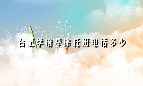合肥学府星座托班电话多少