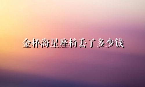 金杯海星座椅丢了多少钱