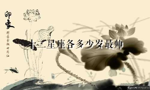 十二星座各多少岁最帅