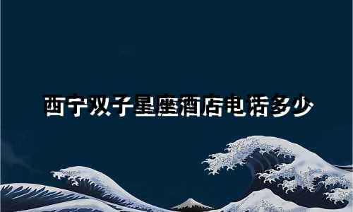 西宁双子星座酒店电话多少