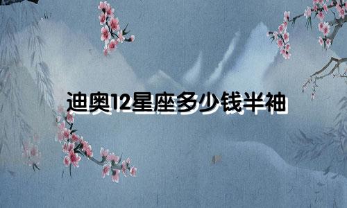 迪奥12星座多少钱半袖