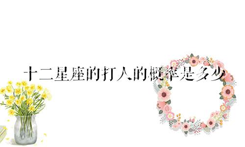 十二星座的打人的概率是多少