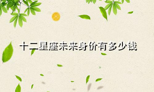 十二星座未来身价有多少钱