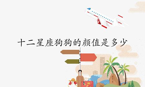 十二星座狗狗的颜值是多少