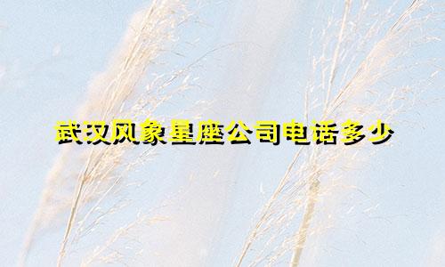 武汉风象星座公司电话多少