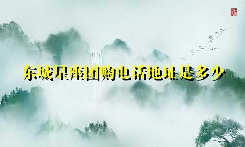 东城星座团购电话地址是多少