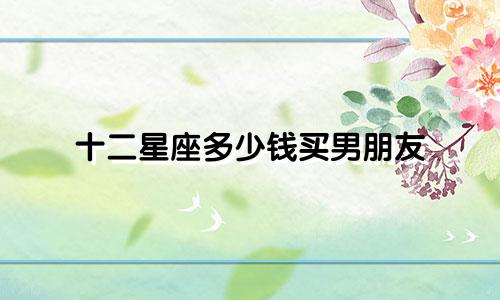 十二星座多少钱买男朋友