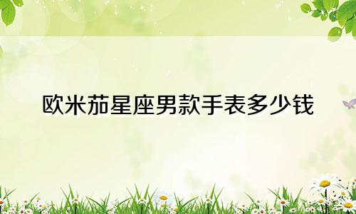 欧米茄星座男款手表多少钱