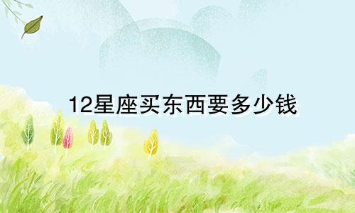 12星座买东西要多少钱
