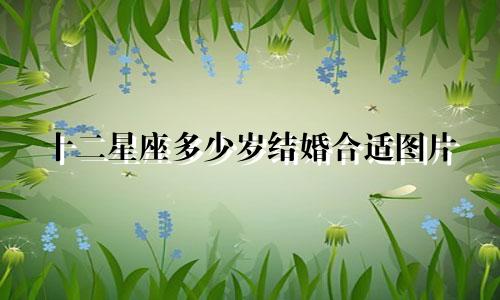 十二星座多少岁结婚合适图片