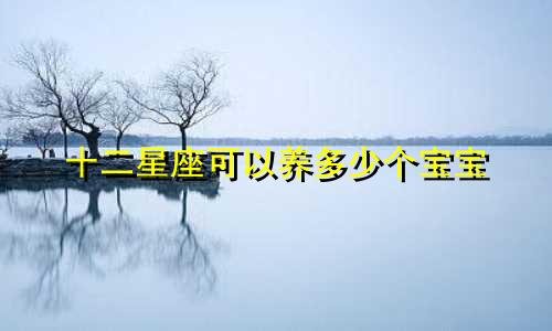 十二星座可以养多少个宝宝