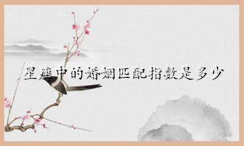 星座中的婚姻匹配指数是多少