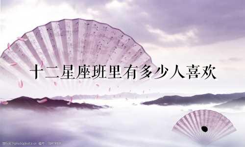 十二星座班里有多少人喜欢