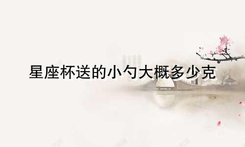 星座杯送的小勺大概多少克