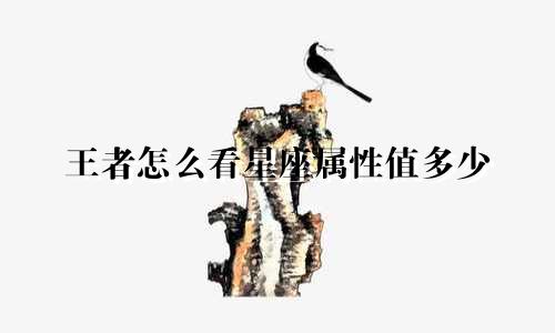 王者怎么看星座属性值多少