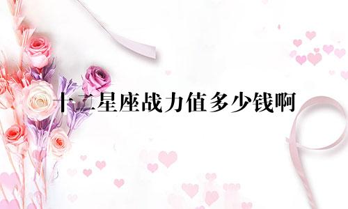 十二星座战力值多少钱啊