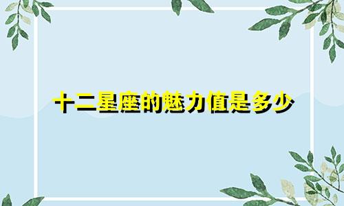 十二星座的魅力值是多少