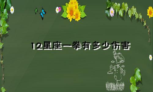 12星座一拳有多少伤害