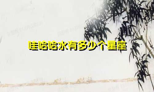 哇哈哈水有多少个星座