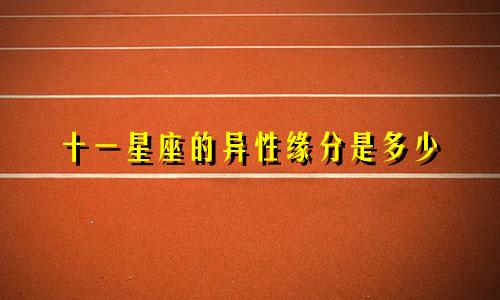 十一星座的异性缘分是多少