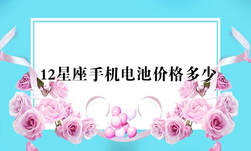 12星座手机电池价格多少