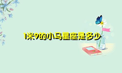 1米9的小马星座是多少