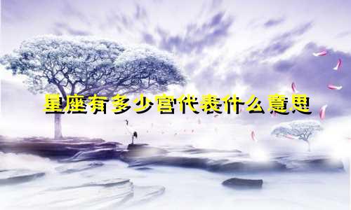 星座有多少宫代表什么意思