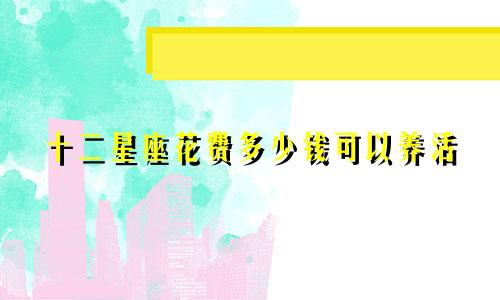 十二星座花费多少钱可以养活