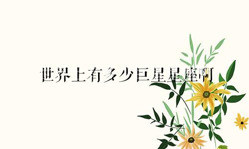 世界上有多少巨星星座啊
