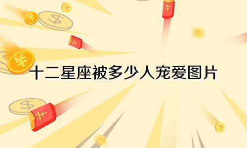 十二星座被多少人宠爱图片