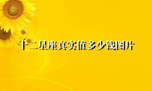 十二星座真实值多少钱图片
