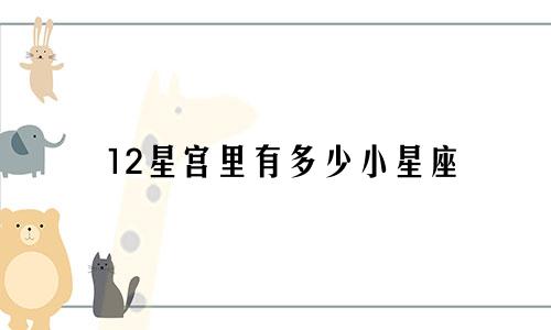 12星宫里有多少小星座