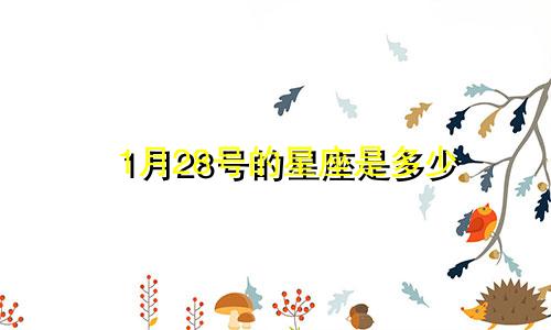 1月28号的星座是多少