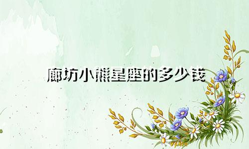 廊坊小熊星座的多少钱