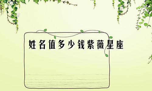 姓名值多少钱紫薇星座
