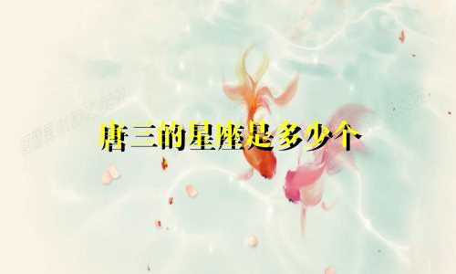 唐三的星座是多少个